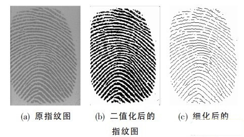 指纹识别也不安全:黑客可从手指照片复制指纹