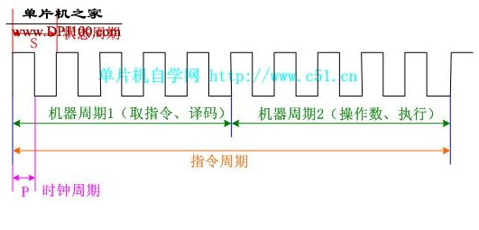 8051单片机的机器周期解析